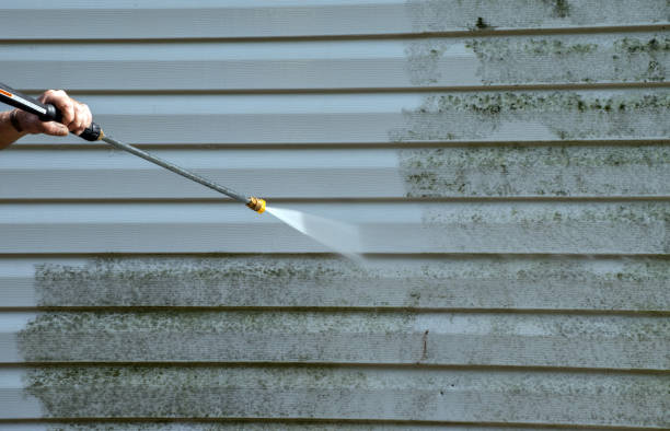 Best Fence Cleaning  in Mexico, IN